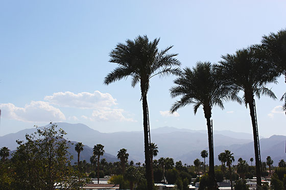 Shields Date Garden, Indio, CA