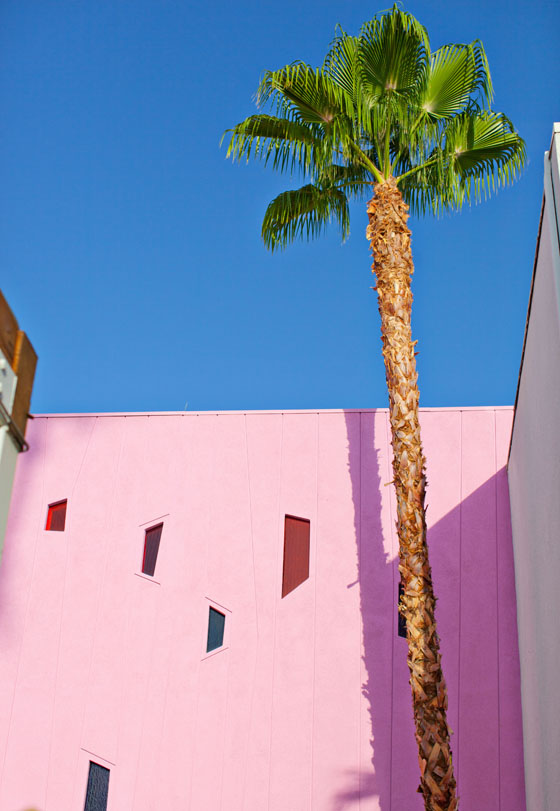 The Saguaro Palm Springs