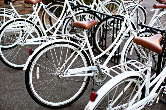 The Saguaro Palm Springs