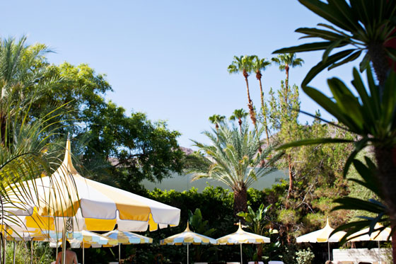 Checking In: A Weekend at The Parker Palm Springs via Melodrama