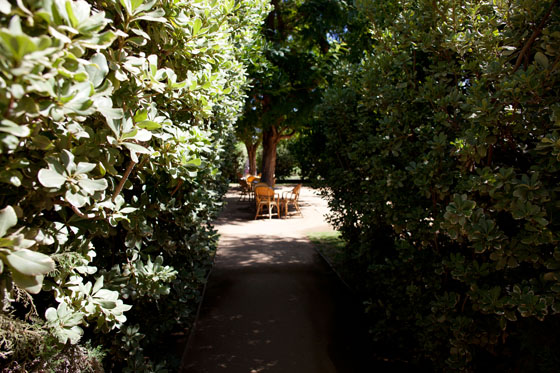 Checking In: A Weekend at The Parker Palm Springs via Melodrama