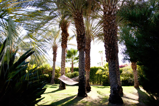 Checking In: A Weekend at The Parker Palm Springs via Melodrama