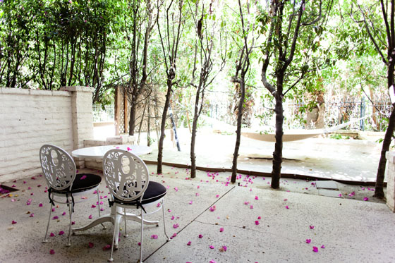 Checking In: A Weekend at The Parker Palm Springs via Melodrama