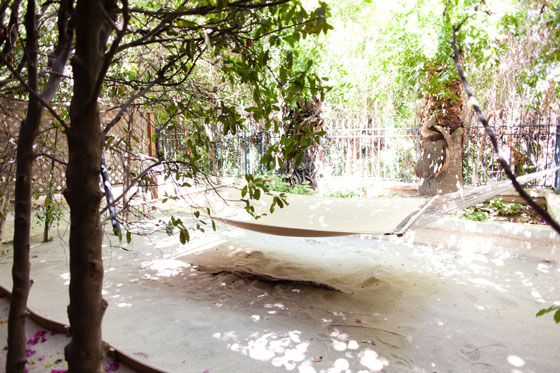 Checking In: A Weekend at The Parker Palm Springs via Melodrama