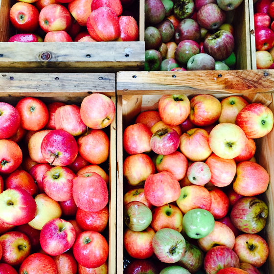 Oak Glen Apples