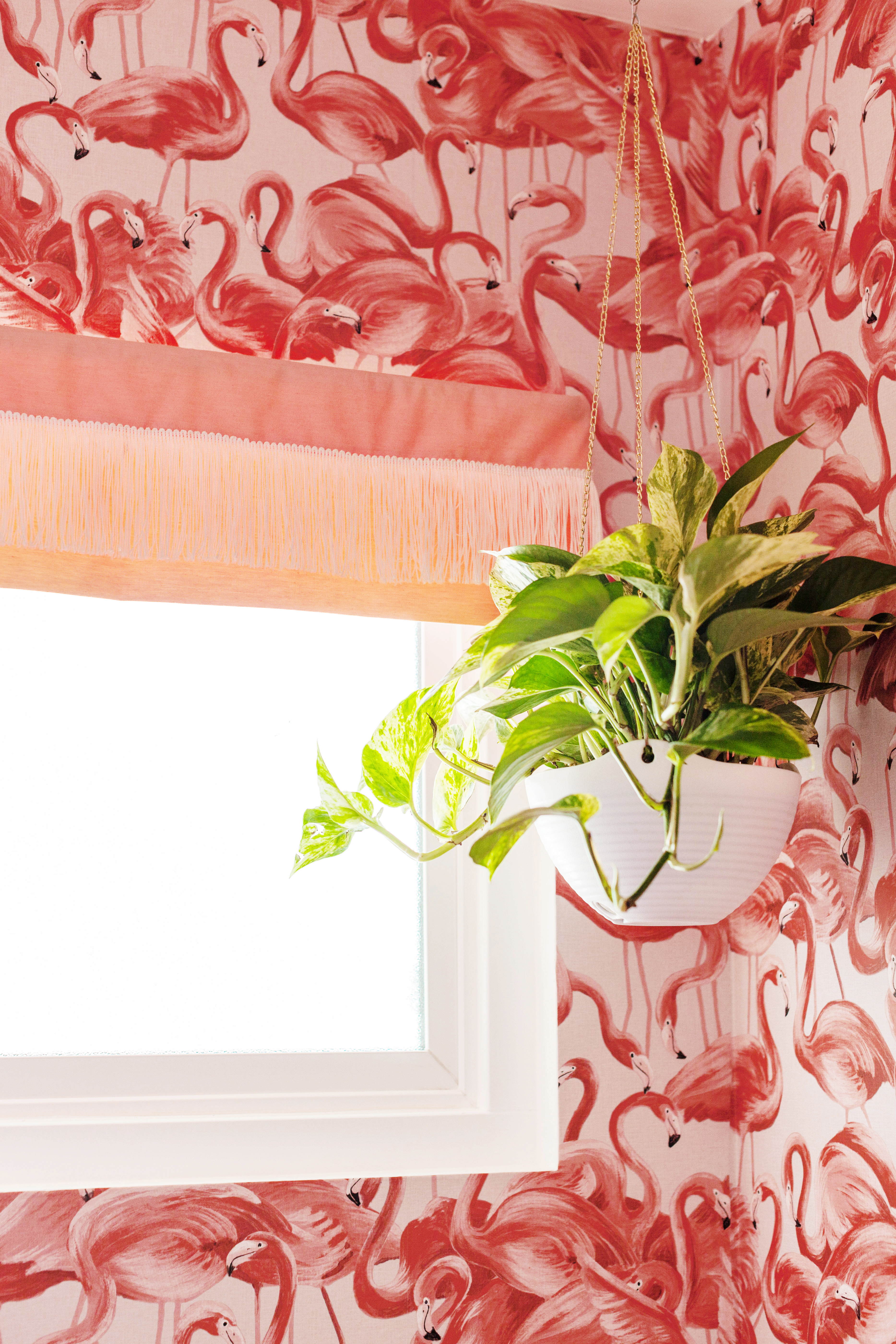 Flamingo Wallpaper and Fringe Window Valance