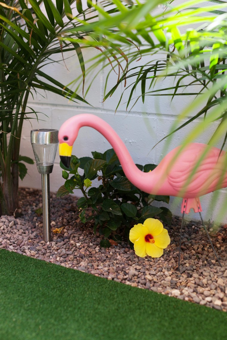 Hibiscus and Flamingo
